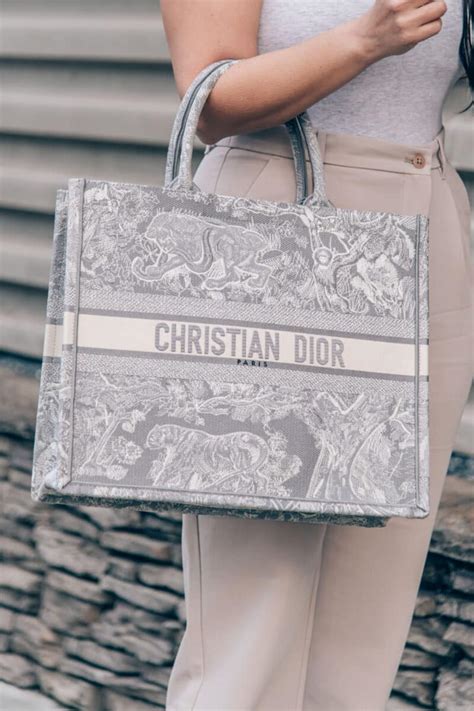 book tote bag dior dupe|christian Dior knockoff bags.